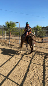 Childrens Horse Program at Redwood Empire Ranch Enrollment