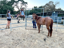 Load image into Gallery viewer, Childrens Horse Program at Redwood Empire Ranch Enrollment