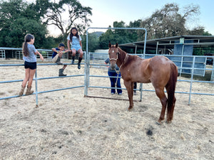 Childrens Horse Program at Redwood Empire Ranch Enrollment