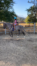 Load image into Gallery viewer, Childrens Horse Program at Redwood Empire Ranch Enrollment