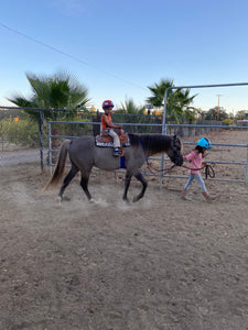 Childrens Horse Program at Redwood Empire Ranch Enrollment