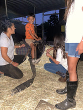 Load image into Gallery viewer, Childrens Horse Program at Redwood Empire Ranch Enrollment