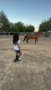 Childrens Horse Program at Redwood Empire Ranch Enrollment