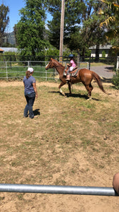 Childrens Horse Program at Redwood Empire Ranch Enrollment