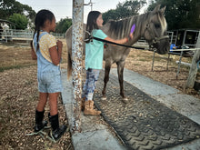 Load image into Gallery viewer, Childrens Horse Program at Redwood Empire Ranch Enrollment