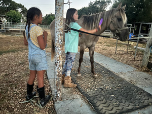 Childrens Horse Program at Redwood Empire Ranch Enrollment