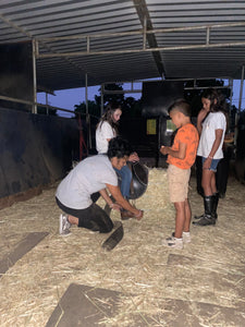 Childrens Horse Program at Redwood Empire Ranch Enrollment