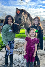 Load image into Gallery viewer, Donate to The Stable Moments Program for Kids in Foster Care