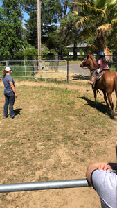 Childrens Horse Program at Redwood Empire Ranch Enrollment