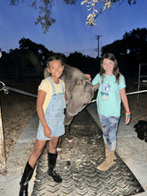 Load image into Gallery viewer, Childrens Horse Program at Redwood Empire Ranch Enrollment