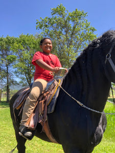 Childrens Horse Program at Redwood Empire Ranch Enrollment