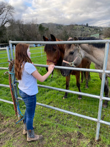 Donate to The Stable Moments Program for Kids in Foster Care