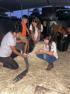 Childrens Horse Program at Redwood Empire Ranch Enrollment