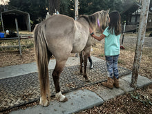 Load image into Gallery viewer, Donate to The Stable Moments Program for Kids in Foster Care