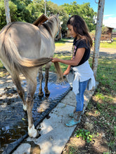 Load image into Gallery viewer, Childrens Horse Program at Redwood Empire Ranch Enrollment