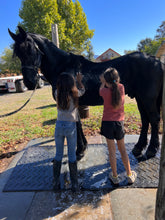 Load image into Gallery viewer, Childrens Horse Program at Redwood Empire Ranch Enrollment