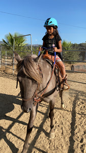 Childrens Horse Program at Redwood Empire Ranch Enrollment