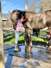 Load image into Gallery viewer, Childrens Horse Program at Redwood Empire Ranch Enrollment