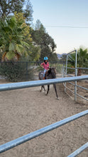 Load image into Gallery viewer, Childrens Horse Program at Redwood Empire Ranch Enrollment