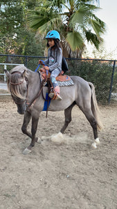 Childrens Horse Program at Redwood Empire Ranch Enrollment