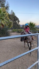 Load image into Gallery viewer, Childrens Horse Program at Redwood Empire Ranch Enrollment