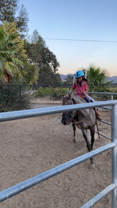 Childrens Horse Program at Redwood Empire Ranch Enrollment