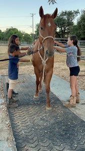 Childrens Horse Program at Redwood Empire Ranch Enrollment