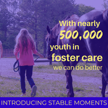 Load image into Gallery viewer, Donate to The Stable Moments Program for Kids in Foster Care