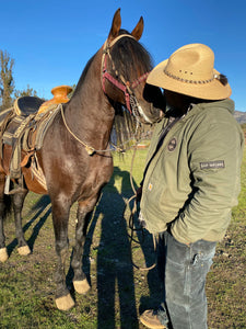 “Topete” (tow-pet-eh) Andalusian Stallion