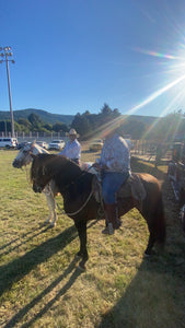 “Topete” (tow-pet-eh) Andalusian Stallion