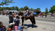 Load image into Gallery viewer, “Topete” (tow-pet-eh) Andalusian Stallion