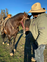 Load image into Gallery viewer, “Topete” (tow-pet-eh) Andalusian Stallion