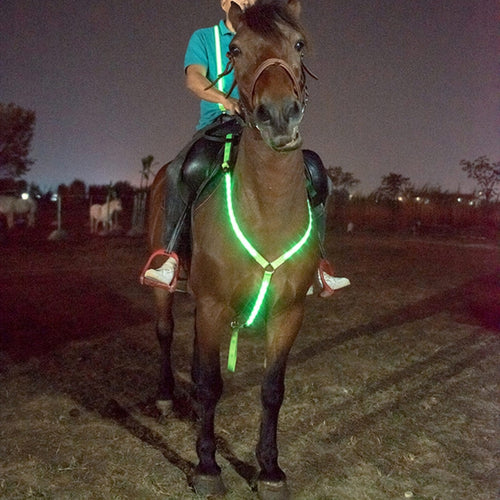 LED Horse Safety Gear for Night Rides & Events